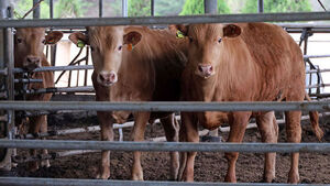 "중동전쟁인데 왜 우리 집 소가"&hellip;축산농가 고유가 '삼중고' 흔들