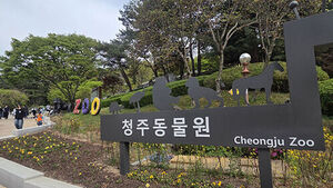 AI 시대, 우리는 왜 '이상한 동물원'에 끌릴까? [취재파일]