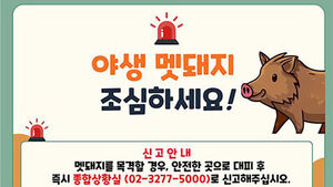 멧돼지 경보