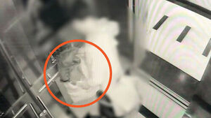 [사건X파일] 친구 집 털어간 10대&hellip;7천만 원어치 '쓱'?