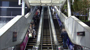 11년 만에 다시 '두 줄'&hellip;"출근길 바쁜데" 반발도