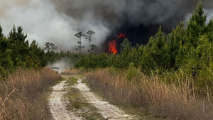 미국 조지아주 산불 확산&hellip;주지사, 30일간 비상사태 발령