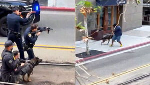 "악" 울려 퍼진 비명&hellip;살벌한 대치 끝 결국