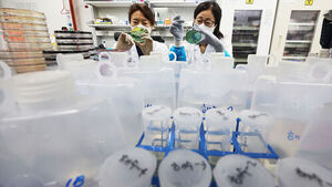 다리 붓고 붉어지더니 끝내 사망&hellip;올해 첫 발생