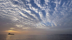 "호르무즈 통행료 일부 면제&hellip;러시아 등 우호국 대상"