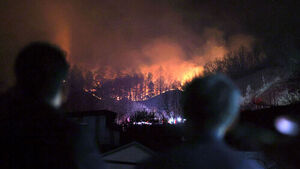 전남 화순 임야서 화재&hellip;임야 0.04ha 소실
