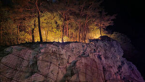 영월 무릉도원면 국유림서 산불&hellip;장비 23대 투입 진화 중