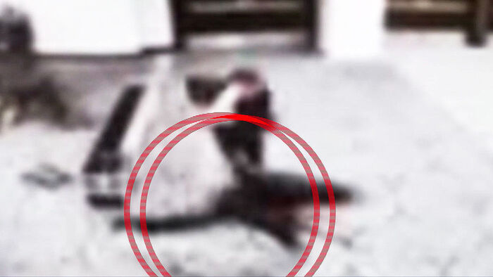 트럼프 피신·총격범 체포