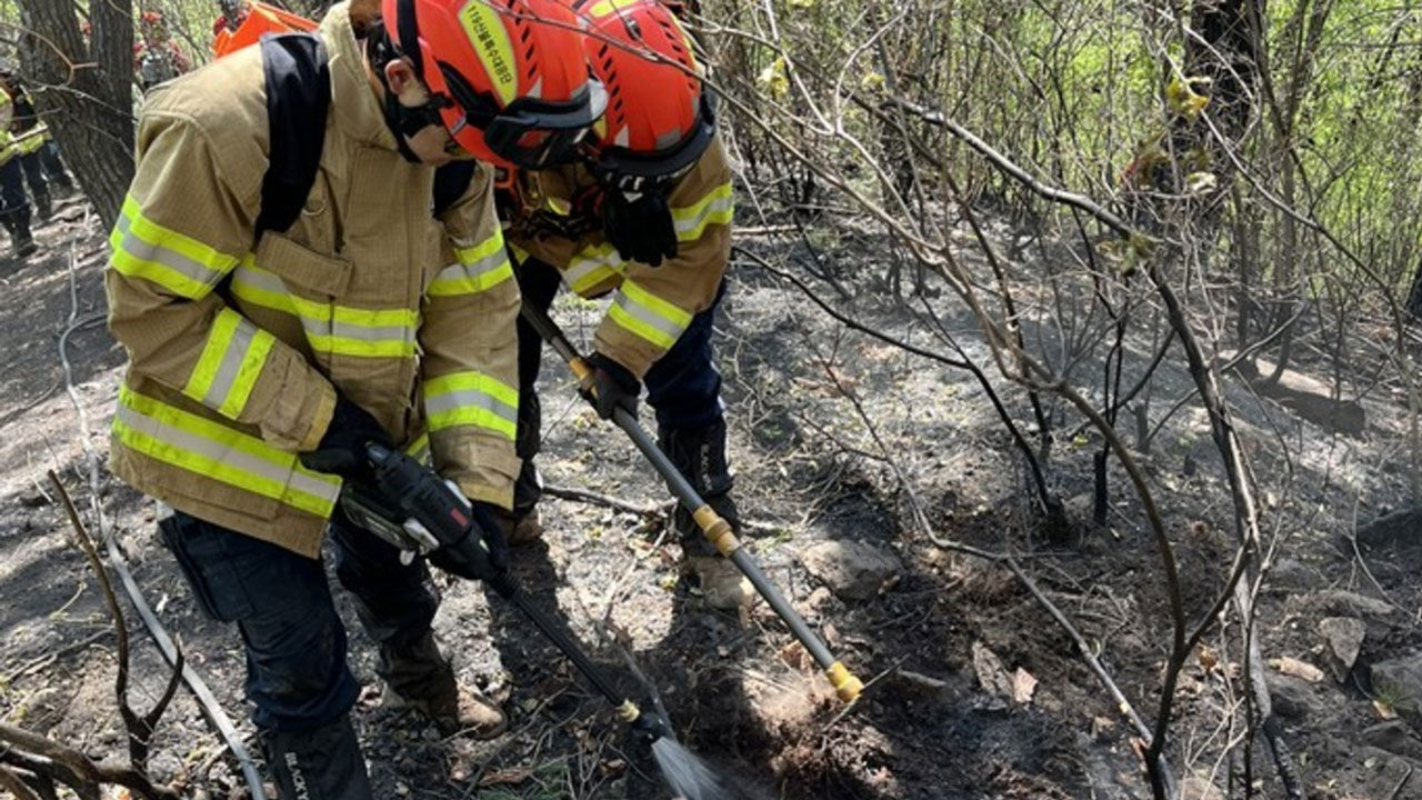 경북 봉화군 춘양면 애당리에서 발생한 산불 (사진=경북소방 제공)