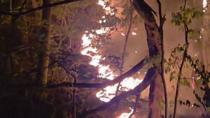 충남 서천서 산불&hellip;2시간 20여 분 만에 주불 진화