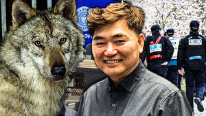 늑구 탈출에 '매출 0원' 됐는데&hellip;커피 4,500잔 '쾌척' [자막뉴스]