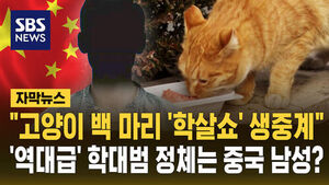[자막뉴스] "고양이 백 마리 '학살쇼' 생중계"&hellip;'역대급' 학대범 실체는 '중국 남성'?