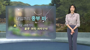 [날씨/XR] '돌풍&middot;벼락&middot;싸락우박' 동반 비&hellip;종일 '서늘'