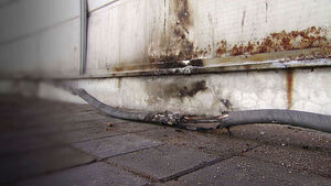 "학교장이 허락했다고?" 경악&hellip;학생들 모여 '뻐금'