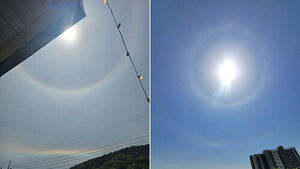 무심코 본 하늘에 "길조 떴다"&hellip;20분간 진귀한 광경