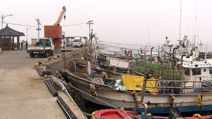 650만원에 넘겨받은 정보&hellip;"쫓아냈는데 또 제주 왔다"