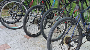 보도블록 위에 여러 대의 자전거가 나란히 세워져 있는 모습.