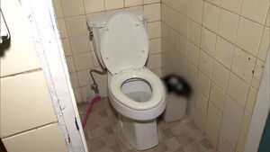 휴지에 왜 접착제가&hellip;상가 화장실 썼다가 "극심한 고통"