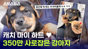 나 안아 / 스브스뉴스