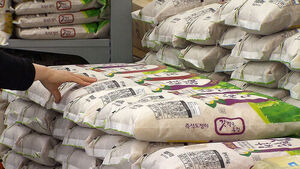 MAFRA: This Year's Rice Production Estimated at Approx. 3.46 Million Tons... Supply and Demand Stable Despite 66,000-Ton Surplus