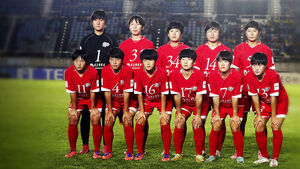 8년 만에 오는 북 선수단&hellip;20일 여자축구 '남북 맞대결'