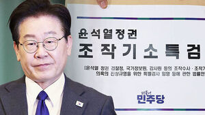 "'조작기소' 특검 시기&middot;절차, 숙의 거쳐 판단해달라"