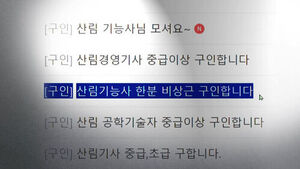 우후죽순 '메뚜기' 유령회사 보니&hellip;"산림 자격증 삽니다"