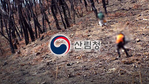'혈세 받아 산림 다 망치는데&hellip;' 산림청은 손 놓고 뒷짐만