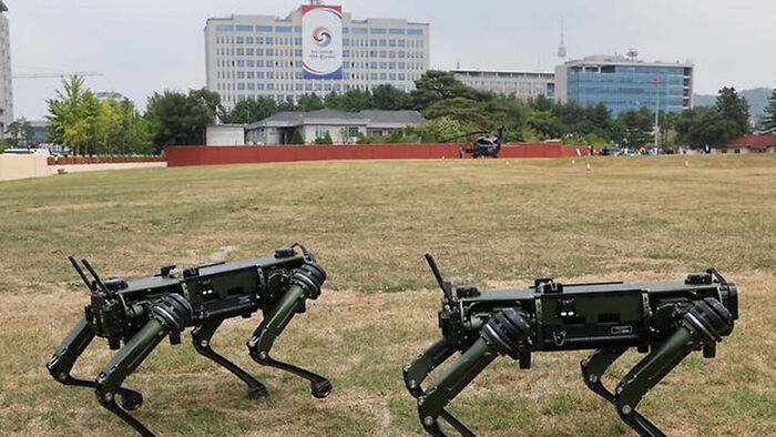 2022년 고스트로보틱스의 로봇개 2마리가 용산 대통령실 앞뜰 잔디 마당에서 포즈를 취하고 있다.