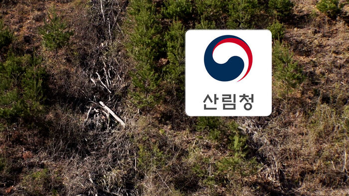 산불 피해, 산림청
