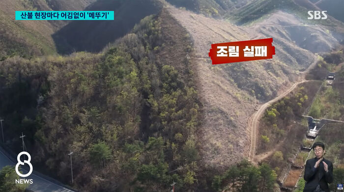 산불 카르텔 뉴스 화면