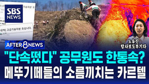 [AFTER 8NEWS] "단속 떴다" 공무원도 한통속?&hellip;메뚜기떼들의 소름 끼치는 카르텔