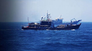Endless Battle Against Illegal Chinese Fishing Boats in NLL Golden Fishery