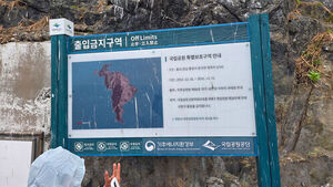 두 배 빨리 데워진 바다&hellip;갈매기 산란이 14년째 빨라진다 [취재파일]