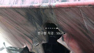 한국선박 피격사건 원인은 주로 해적&hellip;정규군 개입 사례 드물어