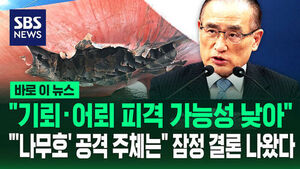 [바로이뉴스] "기뢰&middot;어뢰 피격 가능성 낮아"&hellip;"'나무호' 공격 주체는" 잠정 결론 나왔다