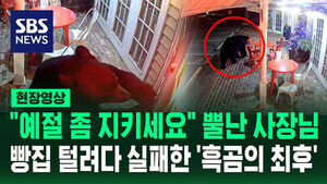 [현장영상] 두 발로 '턱' 서더니 빵집 문 '흔들' 시나몬롤 냄새 맡고 온 흑곰