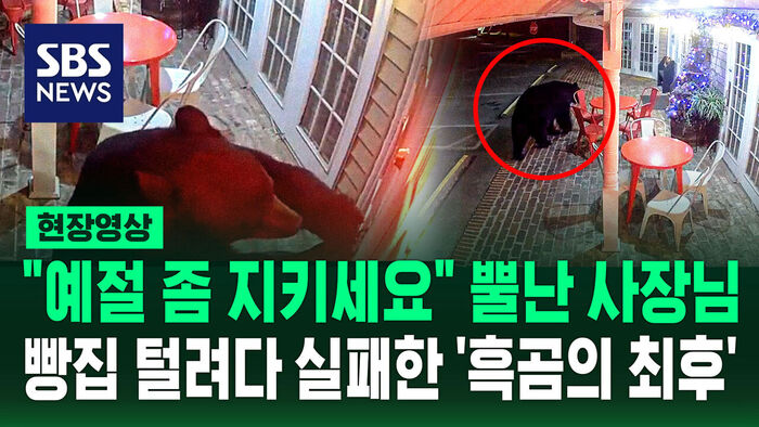 Black Bear Caught Trying to Open Bakery Door After Smelling Cinnamon Rolls