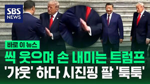 [바로이뉴스] 웃으며 손 내미는 트럼프&hellip;'갸웃' 얘기하다 반가운 듯 시진핑 팔 '툭툭'