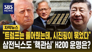 [자막뉴스] "트럼프는 풀어줬는데, 시진핑이 묶었다"&hellip;삼전닉스도 '핵관심' H200 운명은?