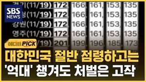 [에디터픽] 대한민국 절반 점령하고는..'억대' 챙겨도 처벌은 고작