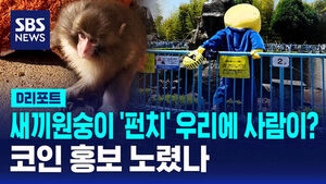 [글로벌D리포트] 새끼 원숭이 '펀치' 우리에 뛰어든 남성&hellip;인기 편승 홍보 노렸나
