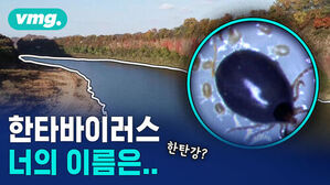 한타바이러스 너의 이름은.. 한탄강? 강 배경과 진드기 확대 모습.