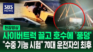 [현장영상] "미쳤네!" 테슬라 '수중 모드' 믿고 호수로 '풍덩' 결국
