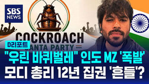 [글로벌D리포트] 인도 청년 대변&hellip;가상 정당 '바퀴벌레 당' 열풍