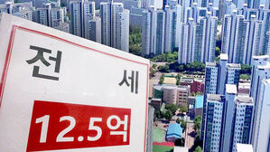 전세 구하는데 "식구 몇 명?"&hellip;현실 된 '전세난'