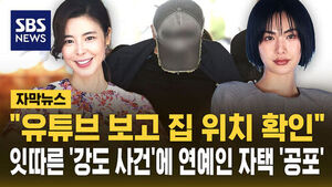 [자막뉴스] "유튜브 보고 집 위치 확인"&hellip;잇따른 '강도 사건'에 연예인 자택 '공포'
