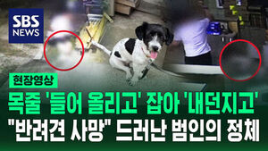 [현장영상] 갑자기 죽은 반려견, CCTV 보니 '학대'였다 범인 정체에 '소름'