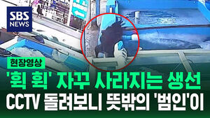 [현장영상] "생선 낚아채 달아나" 잽싸게 훔친 뜻밖의 범인