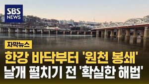[자막뉴스] 한강 바닥부터 '원천 봉쇄'..날개 펼치기 전 '확실한 해법'